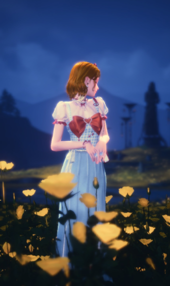 Summer reverie image