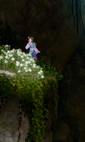 Herbalist image