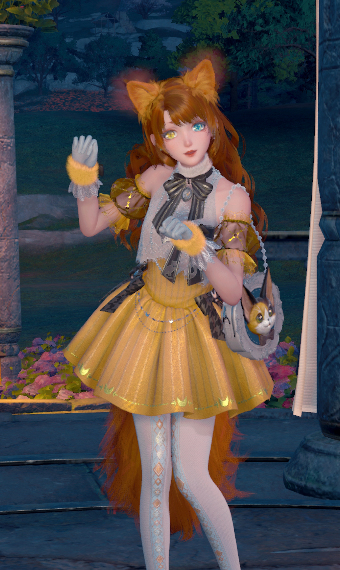 Calico Cat image