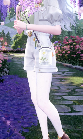 White rose image