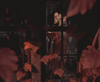 Second image