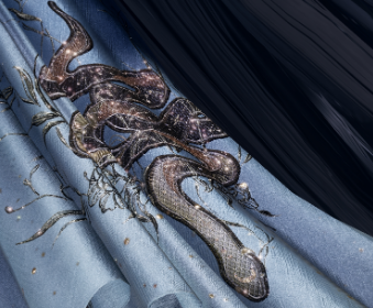 First image