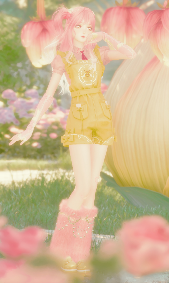 Peach Petal Reverie image