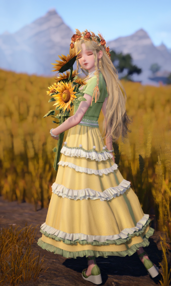 Dreams of Sunflowers image
