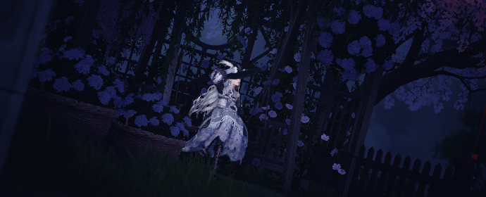 Third image