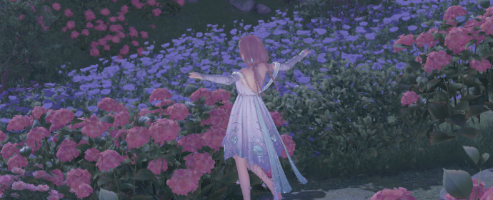 Third image