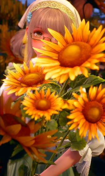 sunflower's promise image