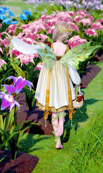 Look image