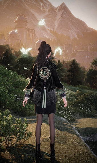 enchanted evening image