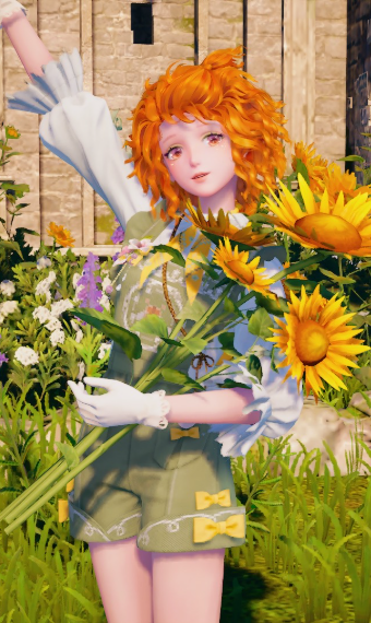 Sunflower season image