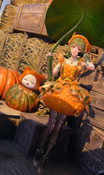pumpkin bumpkin image