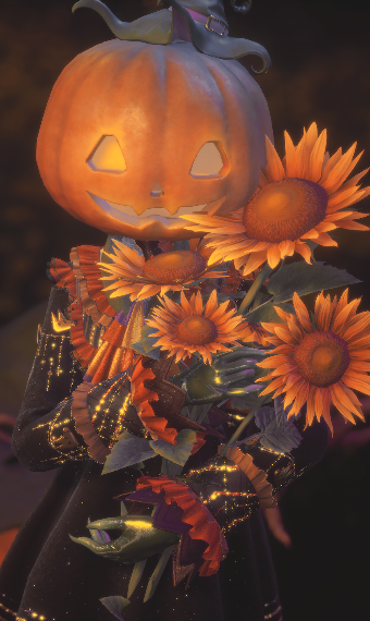 Pumpkin Picking image