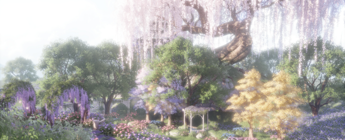 Third image