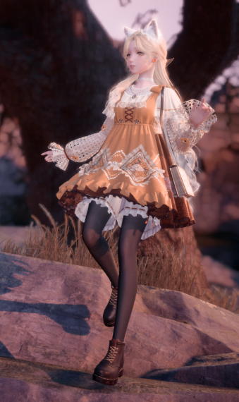 Autumn Fox image