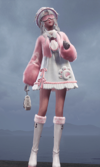 Arctic Wanderer image