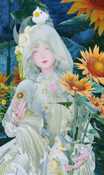 Wild Sunflora image