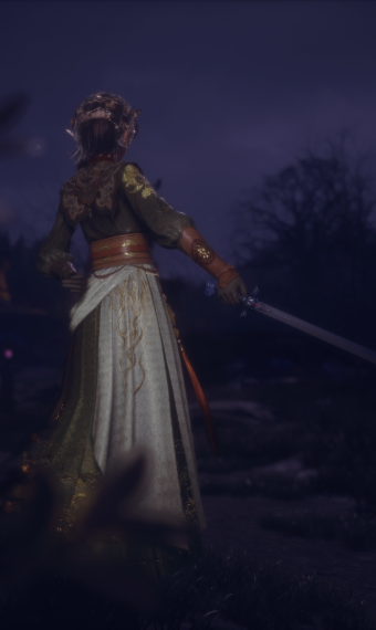 The Ranger image