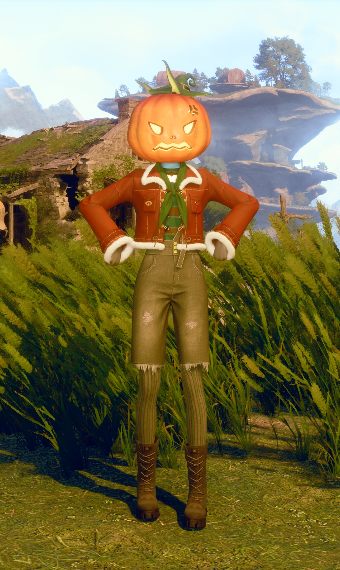 Look image