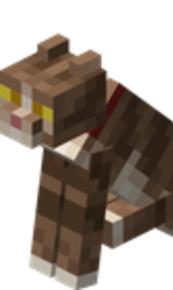 Look image