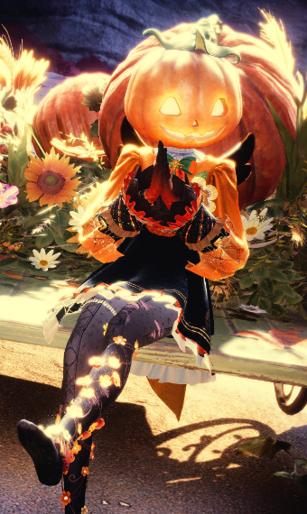 Pumpkin 3 image