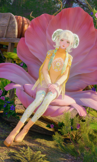 the dainty image