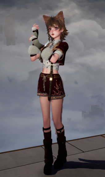 Nikki a fighter image