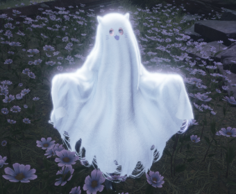 First image