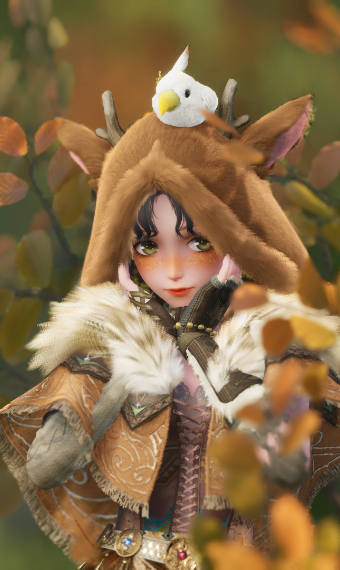 Druid image