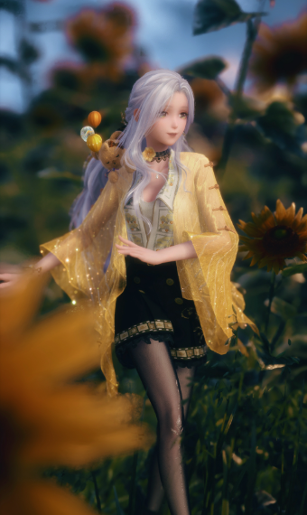 Sunflower Field image
