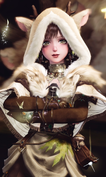 true explorer image
