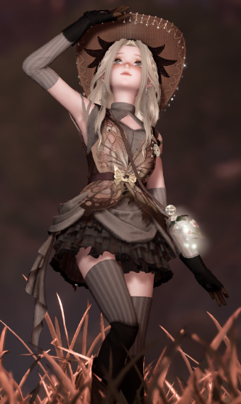 Wanderer image
