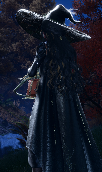 Wicked - Elphaba image