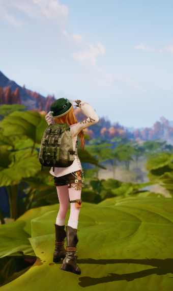 Look image