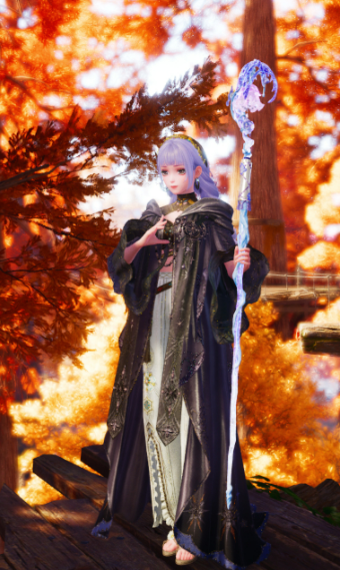 Wild Sorcerer image