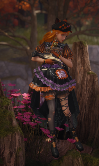 The Fox image
