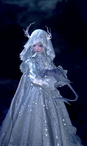 Veiled in White image