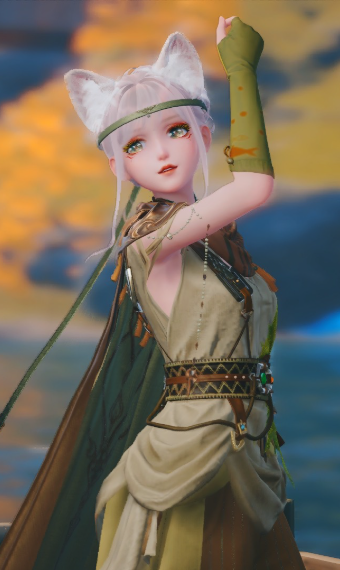 Terra explorer image