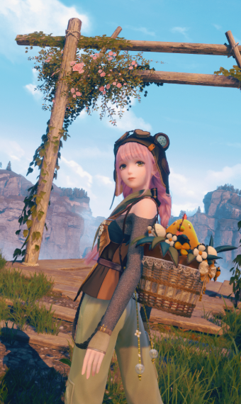Chicken-pack Explorer image