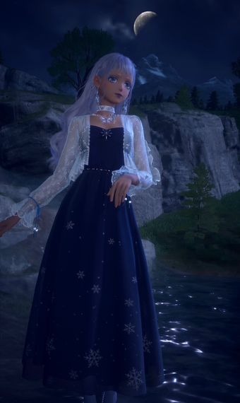 Lovely Winter Night image