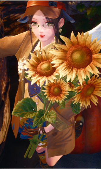 sunflower harvest image
