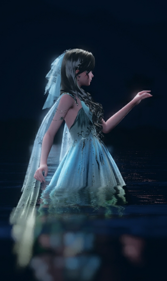 Starlight Preformer image