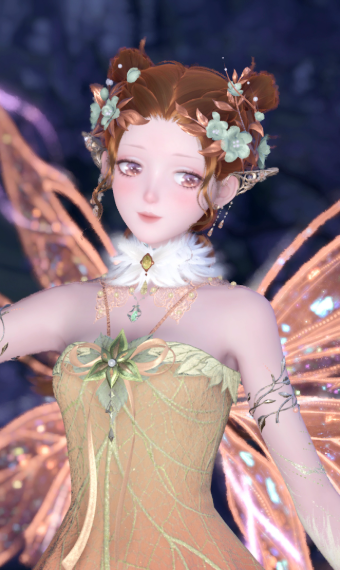 The fairy image