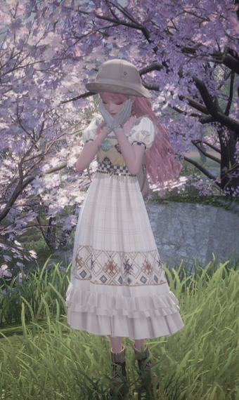 Dreamy Wanderer image