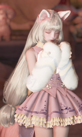 The cutie cat image
