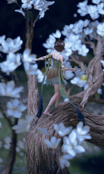 Up in the Tree image