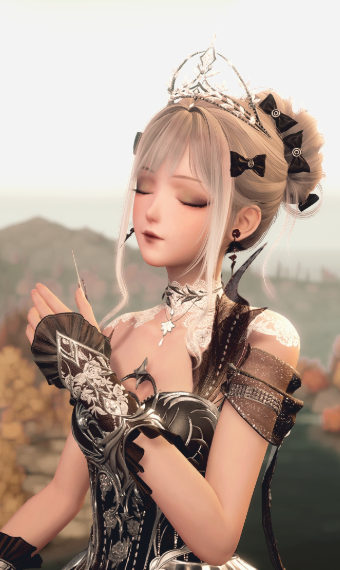 Monochrome Princess Knight image