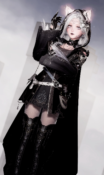 Shadow Assassin image