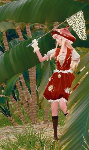 Mushroom Sweetness image