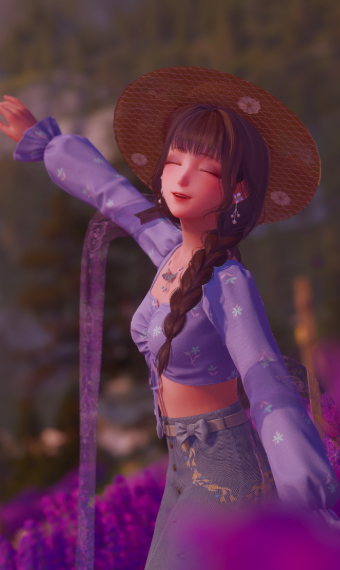 lavender fields image