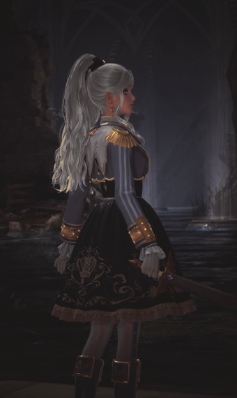 gorgus knight image
